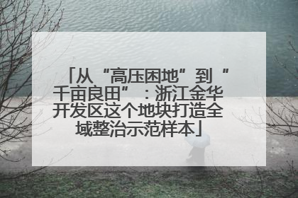 从“高压困地”到“千亩良田”：浙江金华开发区这个地块打造全域整治示范样本