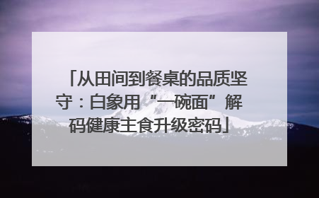 从田间到餐桌的品质坚守：白象用“一碗面”解码健康主食升级密码