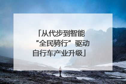 从代步到智能 “全民骑行”驱动自行车产业升级