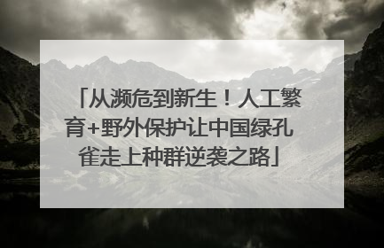 从濒危到新生！人工繁育+野外保护让中国绿孔雀走上种群逆袭之路