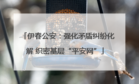 伊春公安：强化矛盾纠纷化解 织密基层“平安网”