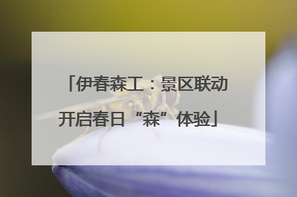 伊春森工：景区联动开启春日“森”体验