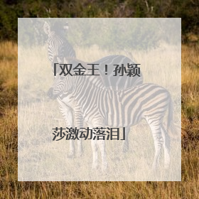 双金王！孙颖莎激动落泪