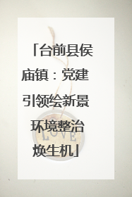 台前县侯庙镇：党建引领绘新景 环境整治焕生机