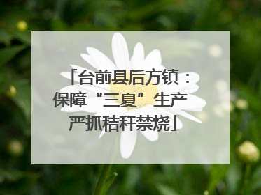 台前县后方镇：保障“三夏”生产 严抓秸秆禁烧
