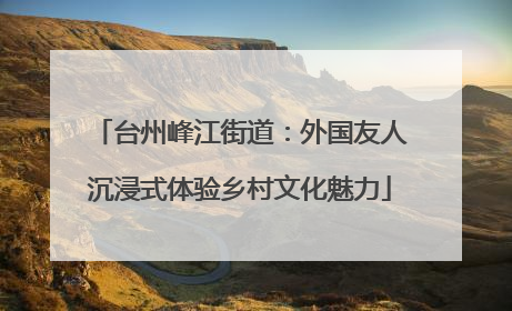 台州峰江街道：外国友人沉浸式体验乡村文化魅力