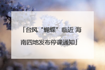 台风“蝴蝶”临近 海南四地发布停课通知