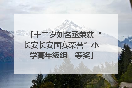 十二岁刘名丞荣获“长安长安国赛荣誉”小学高年级组一等奖