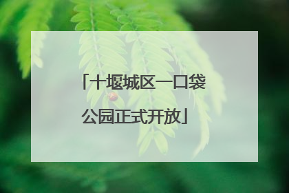 十堰城区一口袋公园正式开放