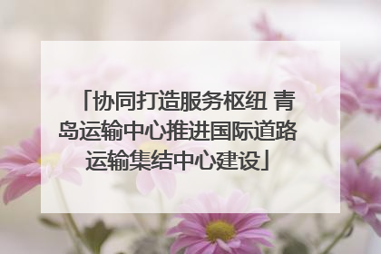 协同打造服务枢纽 青岛运输中心推进国际道路运输集结中心建设
