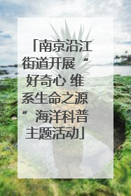 南京沿江街道开展“好奇心 维系生命之源”海洋科普主题活动