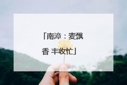 南漳：麦飘香 丰收忙