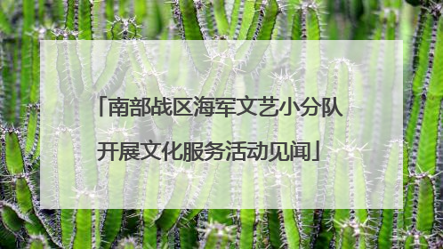 南部战区海军文艺小分队开展文化服务活动见闻