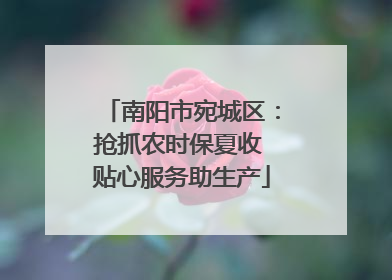 南阳市宛城区：抢抓农时保夏收 贴心服务助生产