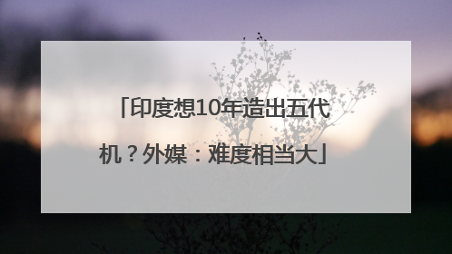 印度想10年造出五代机？外媒：难度相当大