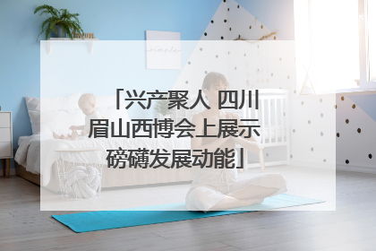 兴产聚人 四川眉山西博会上展示磅礴发展动能