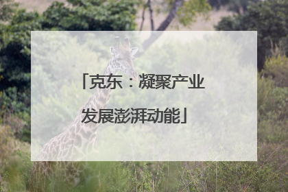 克东：凝聚产业发展澎湃动能