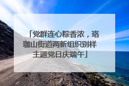党群连心粽香浓，珞珈山街道两新组织别样主题党日庆端午