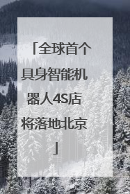 全球首个具身智能机器人4S店将落地北京