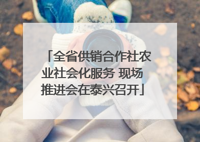全省供销合作社农业社会化服务 现场推进会在泰兴召开