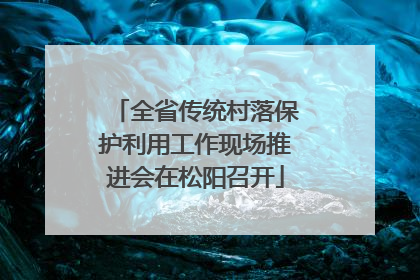 全省传统村落保护利用工作现场推进会在松阳召开
