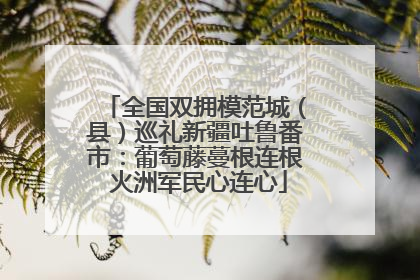 全国双拥模范城（县）巡礼新疆吐鲁番市：葡萄藤蔓根连根 火洲军民心连心