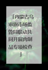 内蒙古乌审旗市场监管局联动共同开展肉制品专项检查