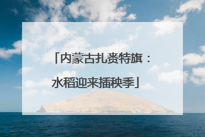 内蒙古扎赉特旗：水稻迎来插秧季
