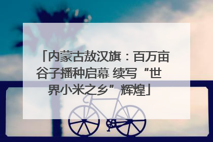 内蒙古敖汉旗：百万亩谷子播种启幕 续写“世界小米之乡”辉煌