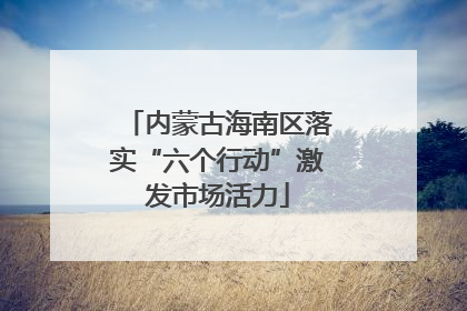 内蒙古海南区落实“六个行动”激发市场活力