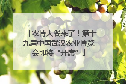 农博大餐来了！第十九届中国武汉农业博览会即将“开席”