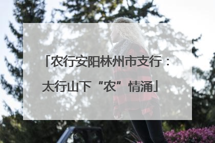 农行安阳林州市支行：太行山下“农”情涌