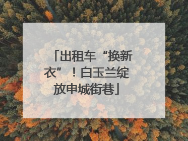 出租车“换新衣”！白玉兰绽放申城街巷