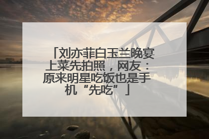 刘亦菲白玉兰晚宴上菜先拍照，网友：原来明星吃饭也是手机“先吃”
