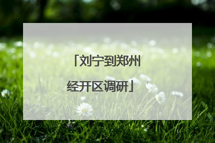 刘宁到郑州经开区调研