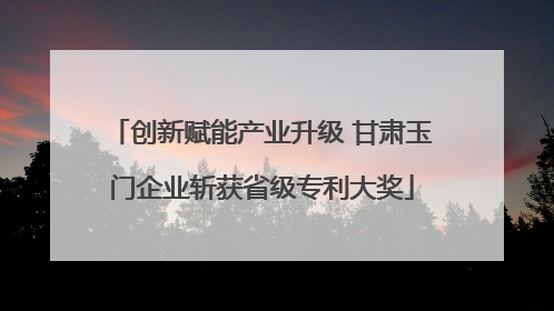 创新赋能产业升级 甘肃玉门企业斩获省级专利大奖