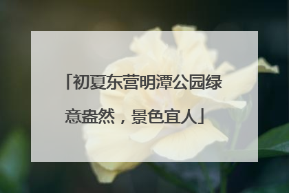 初夏东营明潭公园绿意盎然，景色宜人
