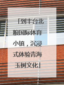 到丰台北粮国际体育小镇，沉浸式体验青海玉树文化