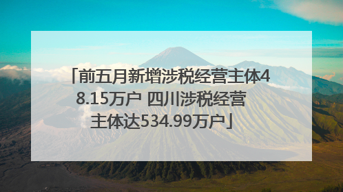 前五月新增涉税经营主体48.15万户 四川涉税经营主体达534.99万户