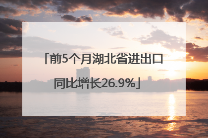 前5个月湖北省进出口同比增长26.9%