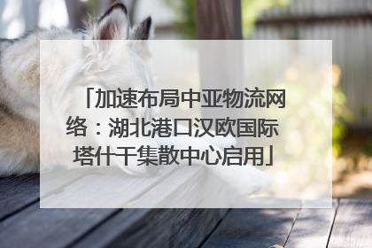加速布局中亚物流网络：湖北港口汉欧国际塔什干集散中心启用