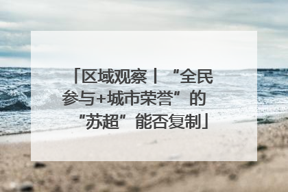 区域观察丨“全民参与+城市荣誉”的“苏超”能否复制