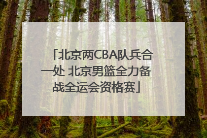 北京两CBA队兵合一处 北京男篮全力备战全运会资格赛
