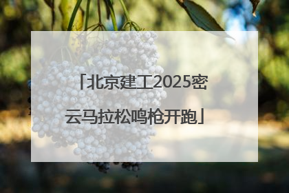 北京建工2025密云马拉松鸣枪开跑