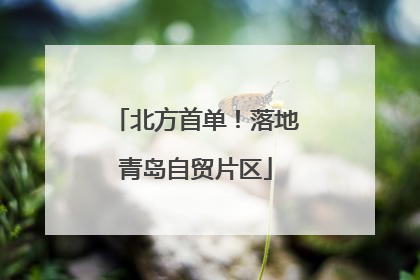 北方首单！落地青岛自贸片区