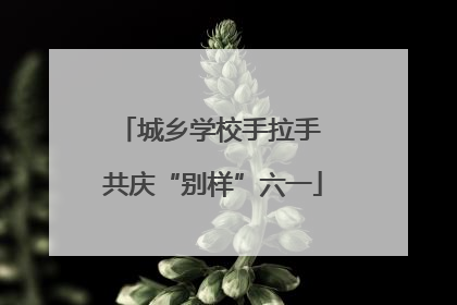 城乡学校手拉手 共庆“别样”六一