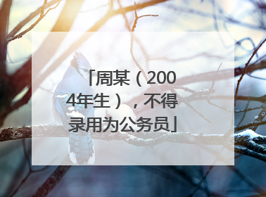 周某（2004年生），不得录用为公务员