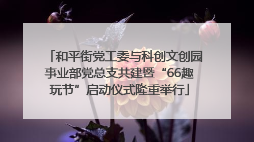 和平街党工委与科创文创园事业部党总支共建暨“66趣玩节”启动仪式隆重举行