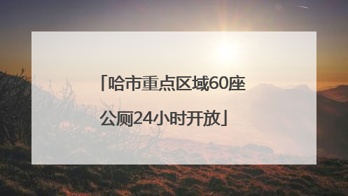 哈市重点区域60座公厕24小时开放