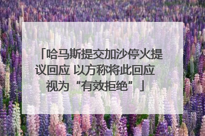 哈马斯提交加沙停火提议回应 以方称将此回应视为“有效拒绝”